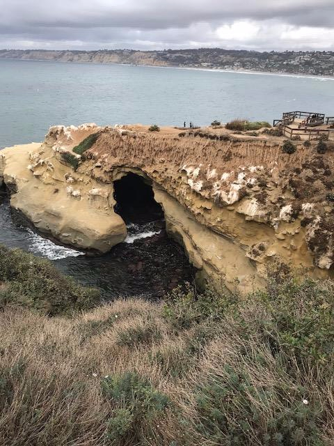 la jolla cove