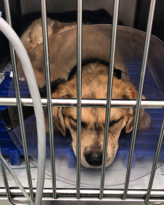 9C231662-66F5-48BF-82DD-3360729EC8B5