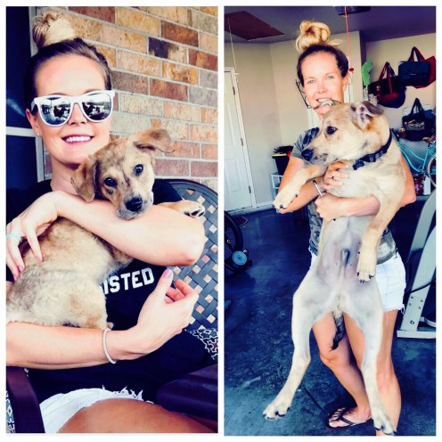 A86E43B0-09B1-45CE-93EF-35386F82984A